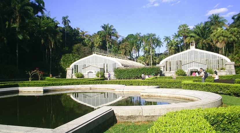 Jardim Botânico de SP: Um Refúgio Verde no Meio da Selva de Pedra!
