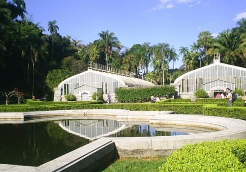 Jardim Botânico de SP: Um Refúgio Verde no Meio da Selva de Pedra!